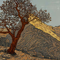 Scorched Waboom