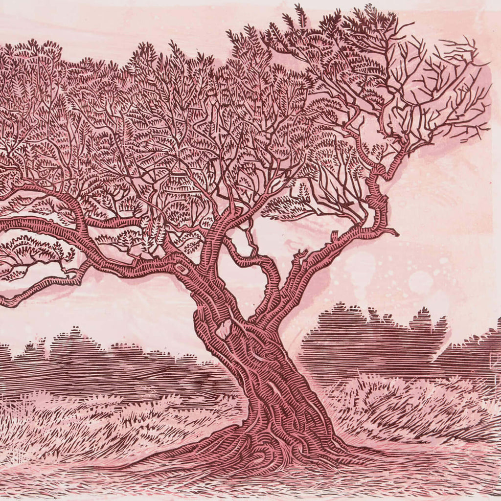 Untitled (Pink Olive)