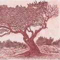 Untitled (Pink Olive)