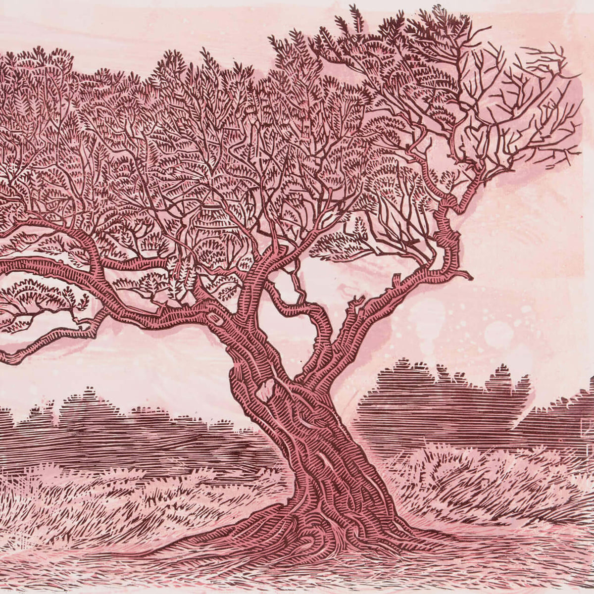 Untitled (Pink Olive)