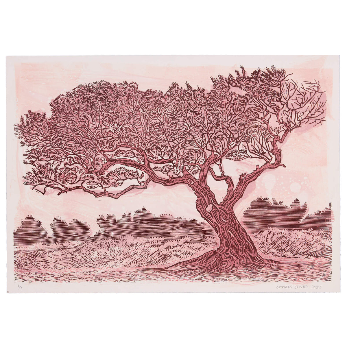 Untitled (Pink Olive)
