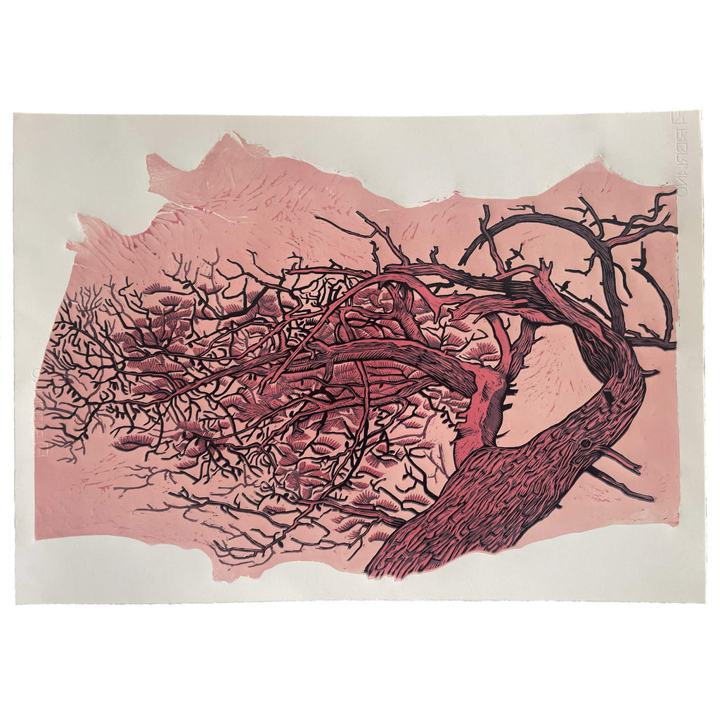 Ragged Pine