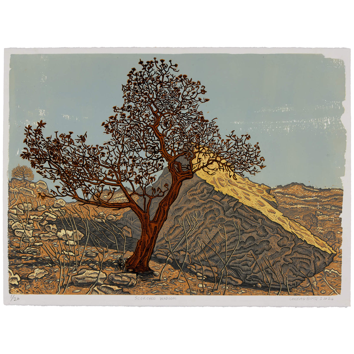 Scorched Waboom